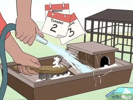 Лечение ушных инфекций у крыс Шаг 17