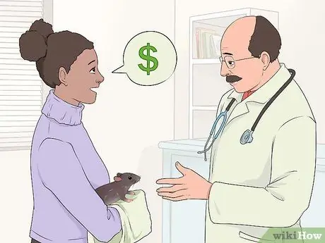 Лечение ушных инфекций у крыс Шаг 7