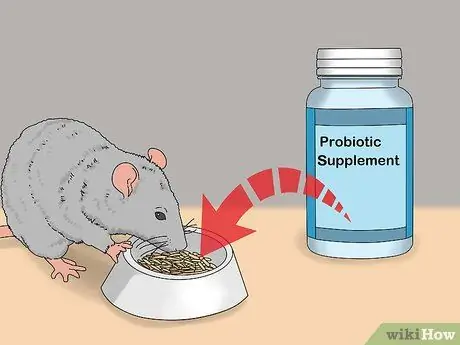 Лечить диарею у крыс Шаг 11