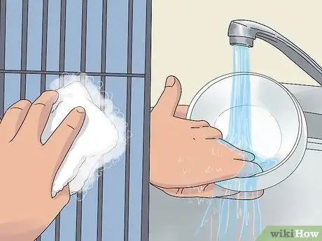 Лечить диарею у крыс Шаг 3