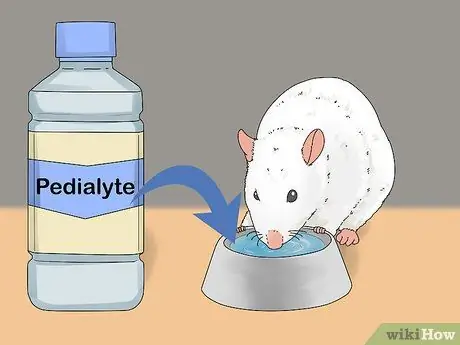 Лечить диарею у крыс Шаг 4