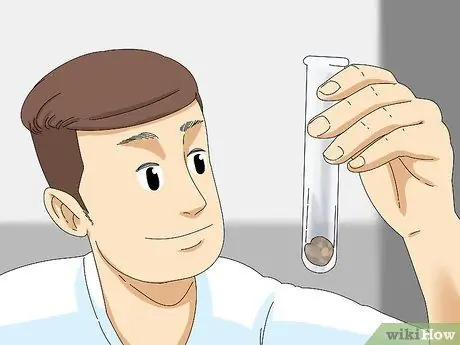 Лечить диарею у крыс Шаг 7