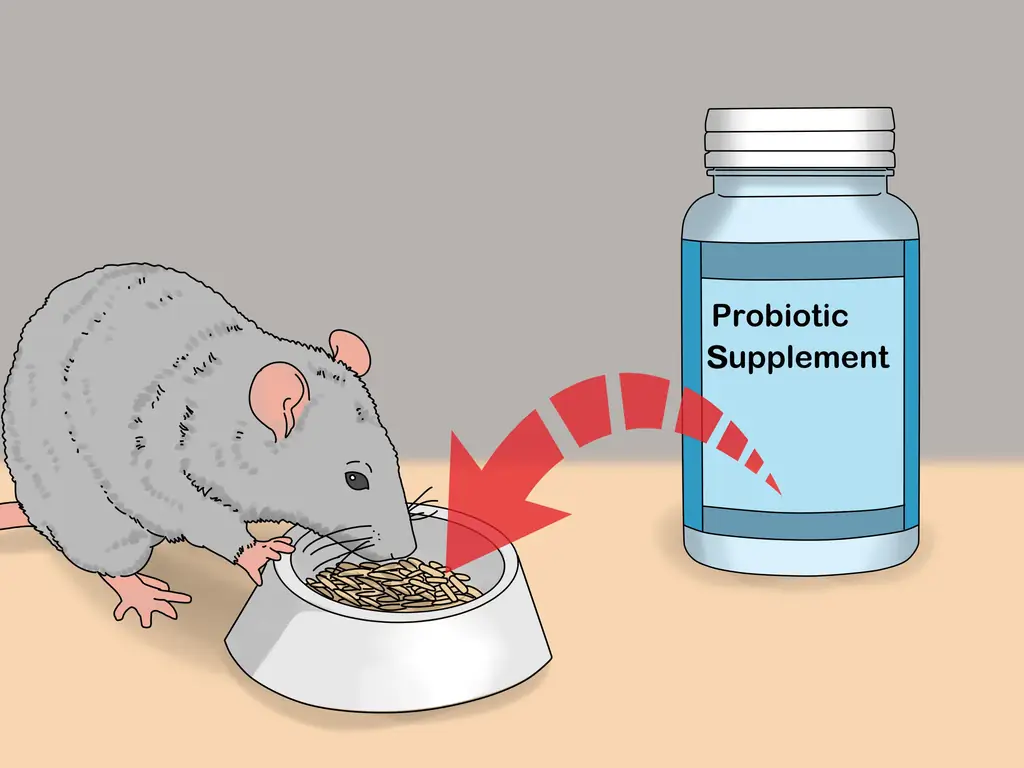 Как лечить диарею у крыс: 11 шагов (с иллюстрациями)