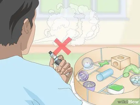 Создайте безопасную игровую площадку для своих домашних крыс Шаг 13