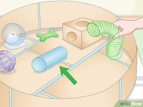 Создайте безопасную игровую площадку для своих домашних крыс Шаг 7