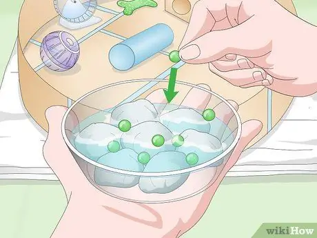 Создайте безопасную игровую площадку для своих домашних крыс Шаг 8