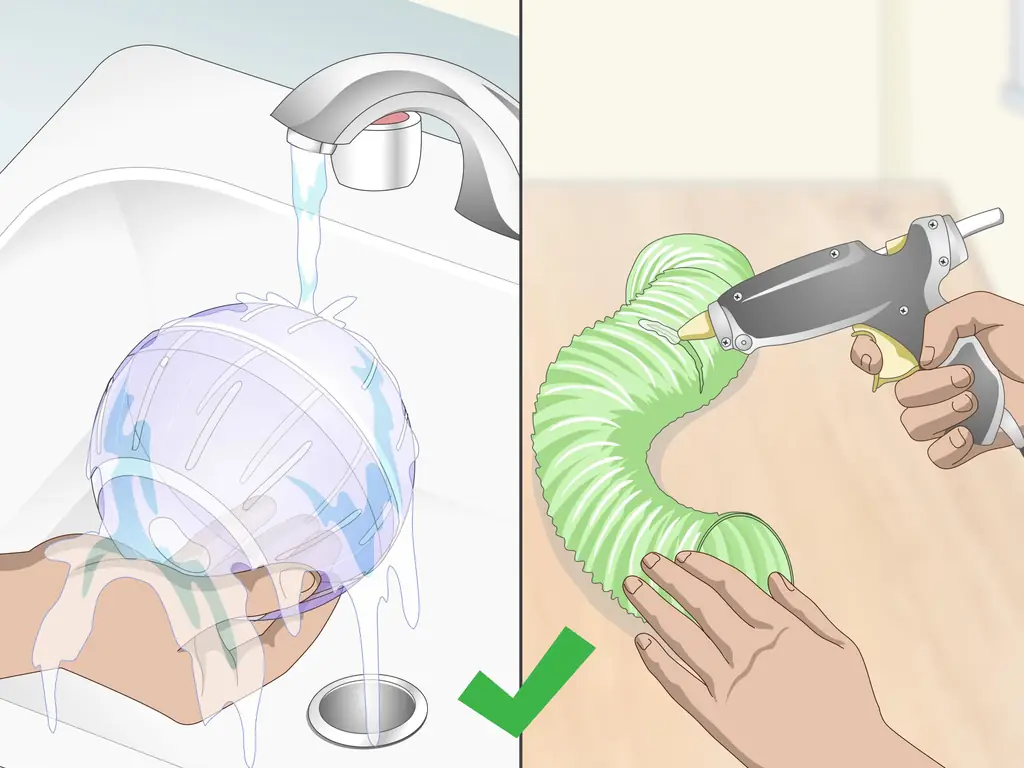 3 способа создать безопасную игровую площадку для домашних крыс