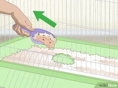 Очистите клетку для мыши, шаг 3