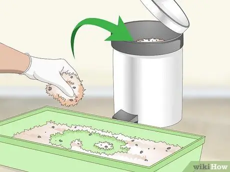 Очистите клетку для мыши Шаг 6