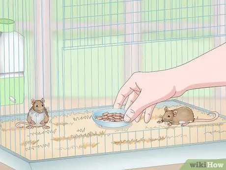 Установка клетки для мыши Шаг 12