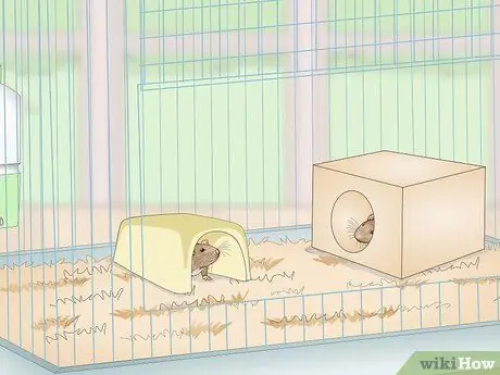 Установка клетки для мыши Шаг 13