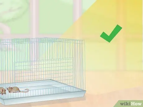 Установите клетку для мыши Шаг 6