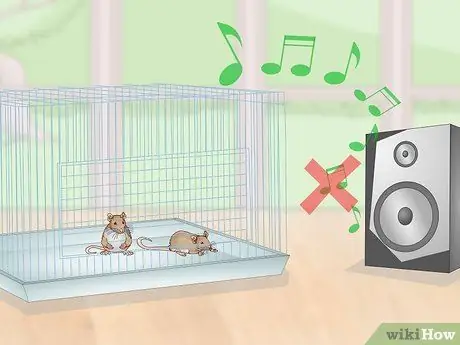 Установка клетки для мыши Шаг 7