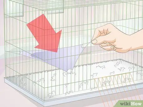 Установка клетки для домашних крыс, шаг 3