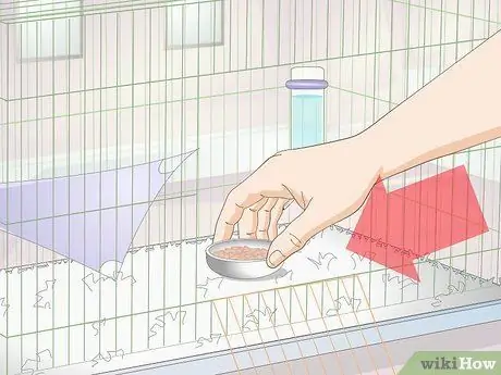 Установка клетки для домашних крыс Шаг 5