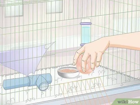 Установка клетки для домашних крыс Шаг 6