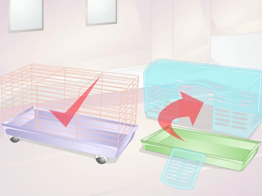 3 способа установить клетку для домашних крыс