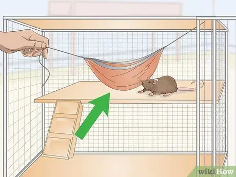 Обеспечьте укрытие для домашней крысы Шаг 2