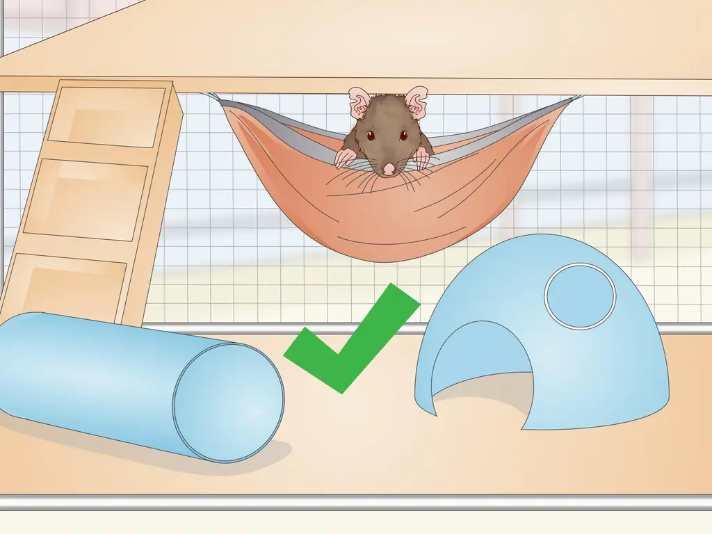 Как найти укрытие для домашней крысы: 11 шагов
