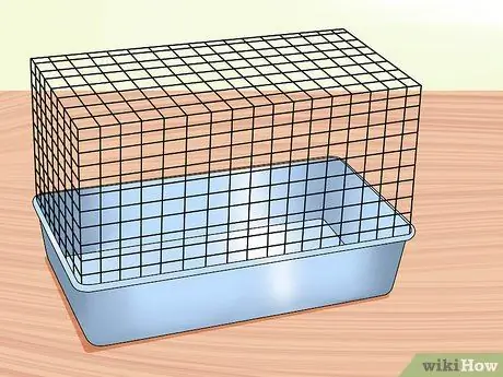 Уход за беременной крысой Шаг 3