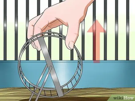 Уход за беременной крысой Шаг 4