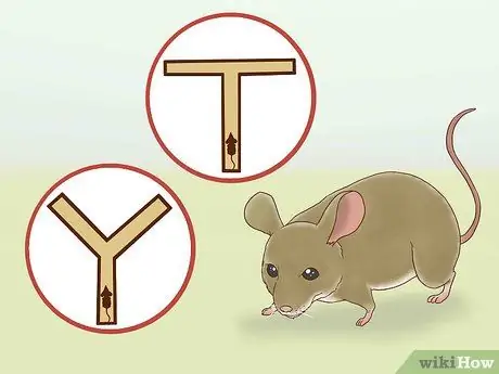 Постройте мышечный лабиринт, шаг 2