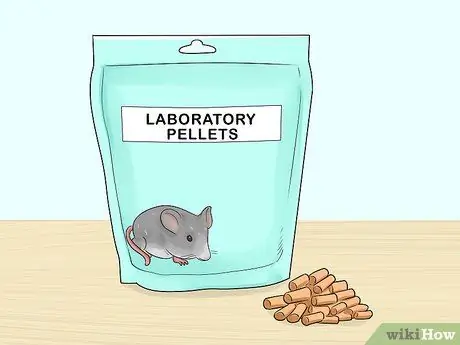 Поддерживайте здоровый вес домашних крыс Шаг 1