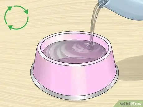 Поддерживайте здоровый вес домашних крыс Шаг 5