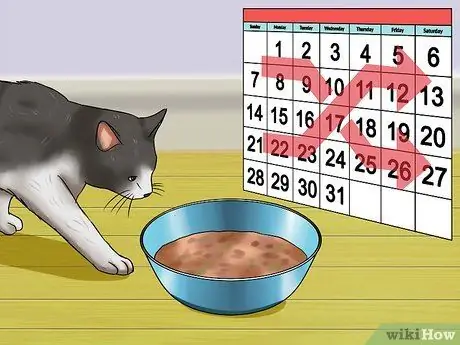 Остановить кошку от жевания Шаг 13