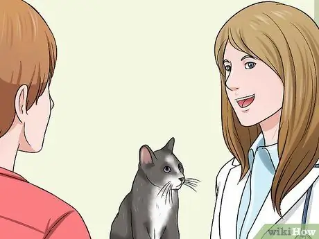 Остановить кошку от жевания Шаг 4