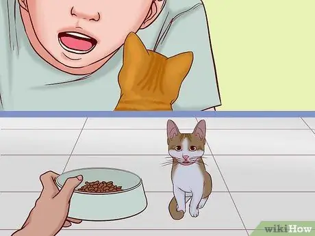 Говорите кошке Шаг 13