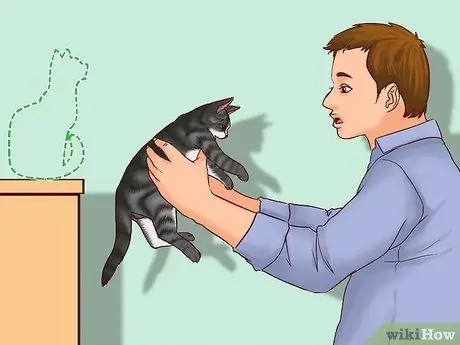 Говорите с кошкой, шаг 15