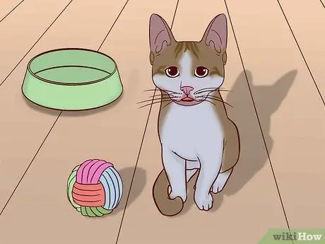 Говорите с котом, шаг 2