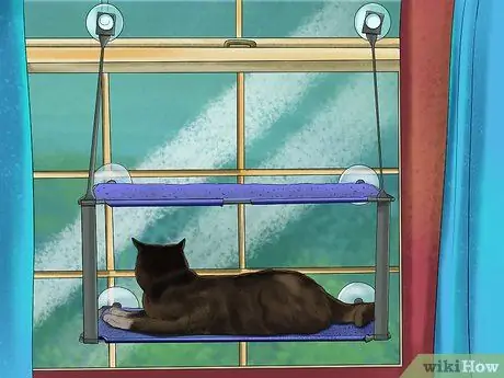 Дайте кошке место, чтобы позагорать Шаг 2