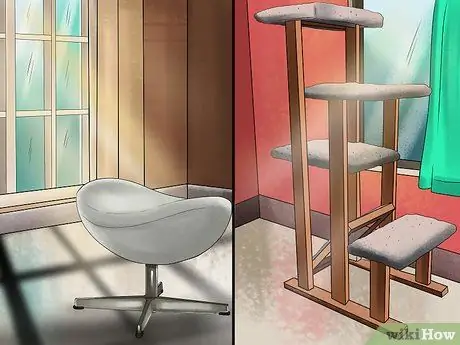 Дайте кошке место, чтобы позагорать Шаг 3