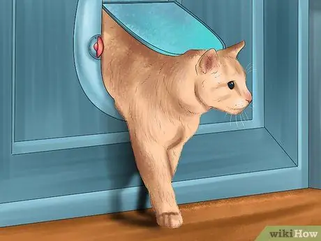 Дайте кошке место, чтобы позагорать Шаг 7