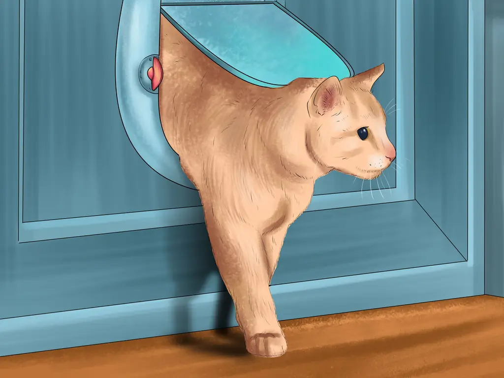 Как дать кошке возможность позагорать: 7 шагов (с иллюстрациями)