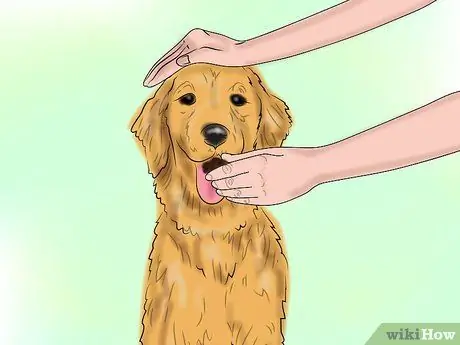 Успокойте собаку природными средствами Шаг 12