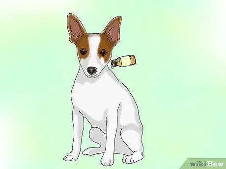 Успокойте собаку природными средствами Шаг 4