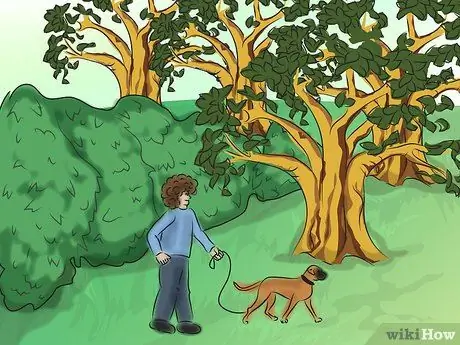 Успокойте собаку природными средствами Шаг 8