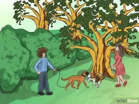 Успокойте собаку природными средствами Шаг 10