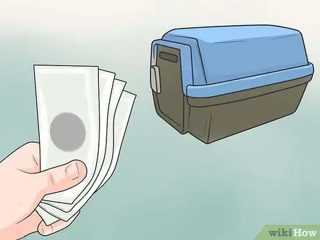 Дрессировка пуделей, шаг 1