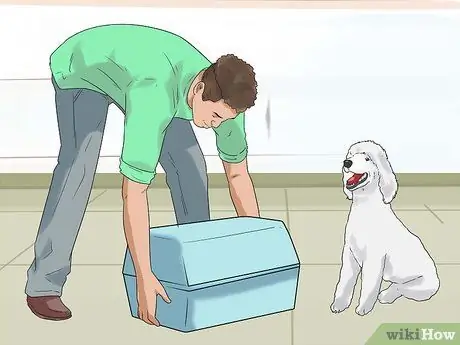 Дрессировка пуделей, шаг 2