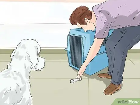 Дрессировка пуделей, шаг 3