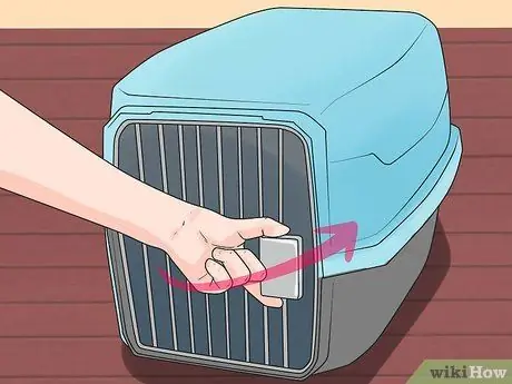 Дрессировка пуделей Шаг 4