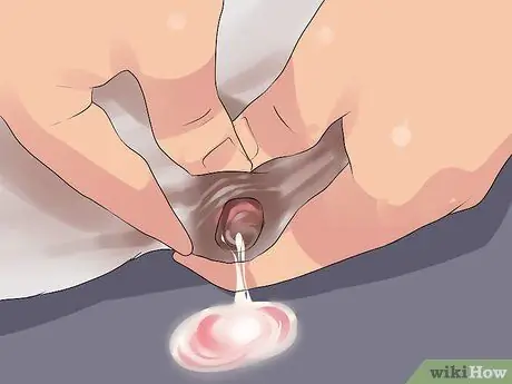 Лечить болезнь молочной железы у интактных сучек Шаг 12