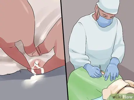 Лечить заболевание молочной железы у интактных сучек Шаг 7