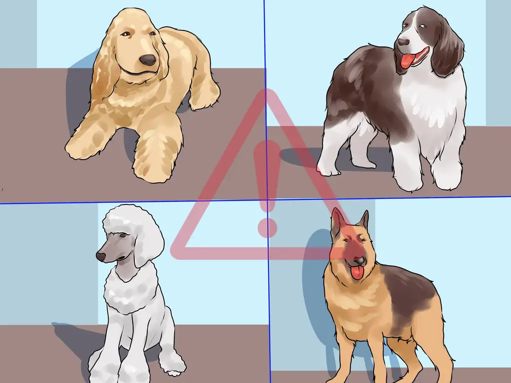 3 способа лечения заболевания молочной железы у интактных сучек