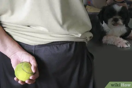 Заставьте вашу собаку перестать играть в Fetch With You Шаг 6