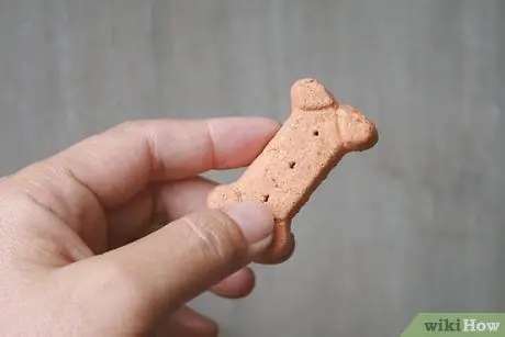 Заставьте вашу собаку перестать играть в Fetch With You Шаг 7